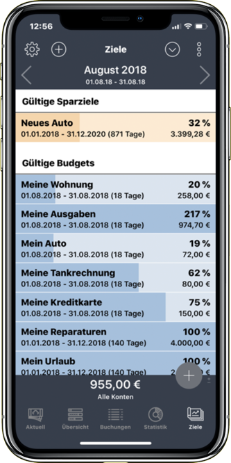 Ziele und Budgets